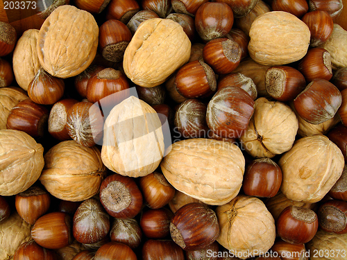 Image of Nuts