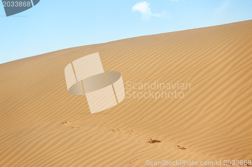 Image of Desert