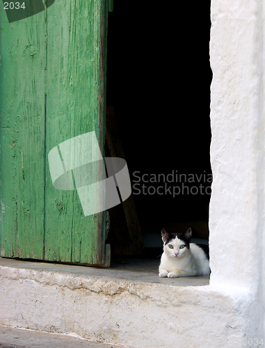 Image of Cat in a doorway in a Cretan village