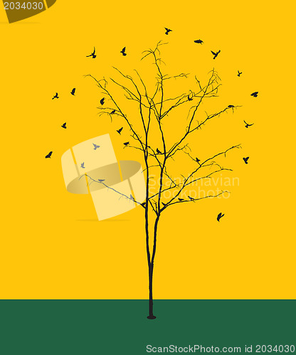 Image of Leafless tree with birds silhouettes