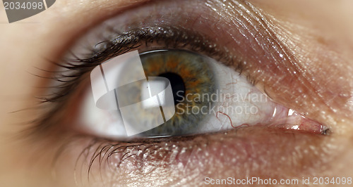 Image of Green eye