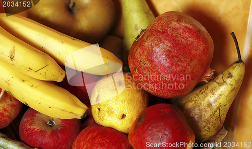 Image of Fruit basket