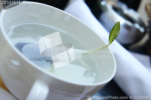 Image of Green tea in the white cup  
