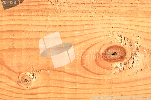 Image of Pine Tree Lumber Macro