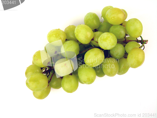 Image of Grapes