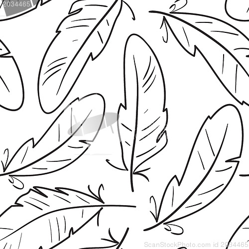 Image of Seamless pattern with birds feathers