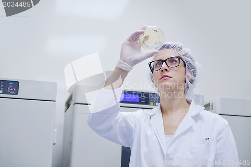 Image of scientists working at the laboratory