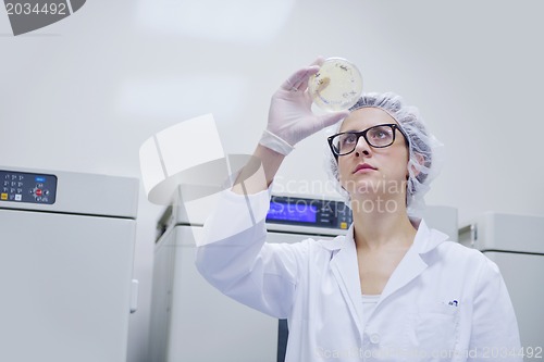 Image of scientists working at the laboratory