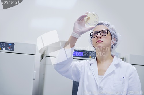 Image of scientists working at the laboratory