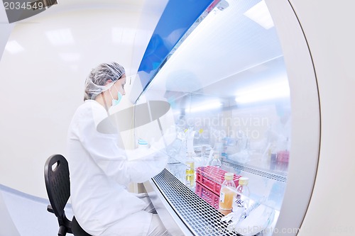 Image of scientists working at the laboratory