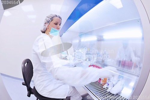 Image of scientists working at the laboratory