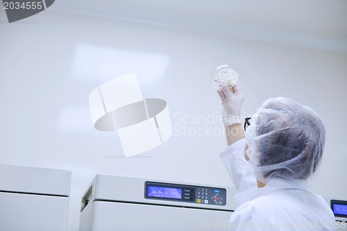 Image of scientists working at the laboratory