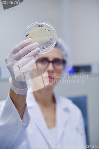 Image of scientists working at the laboratory