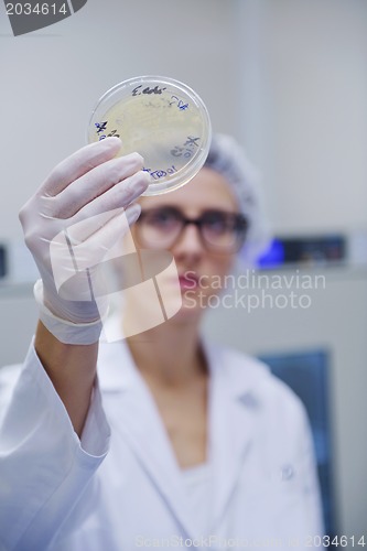 Image of scientists working at the laboratory