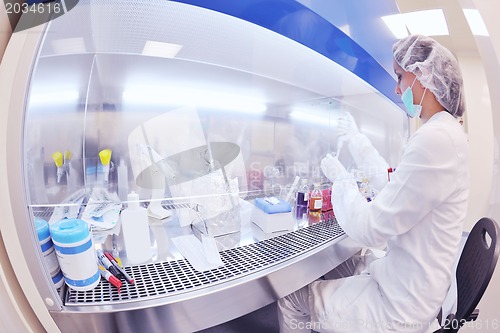 Image of scientists working at the laboratory