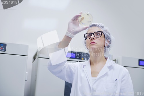 Image of scientists working at the laboratory