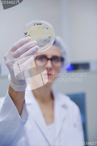 Image of scientists working at the laboratory