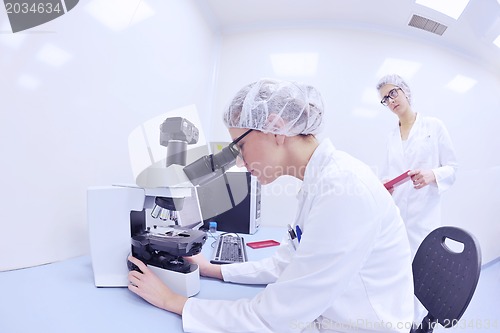 Image of scientists working at the laboratory