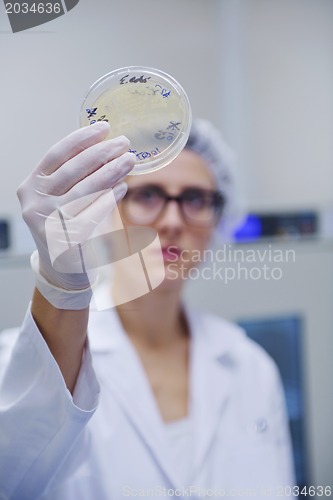 Image of scientists working at the laboratory