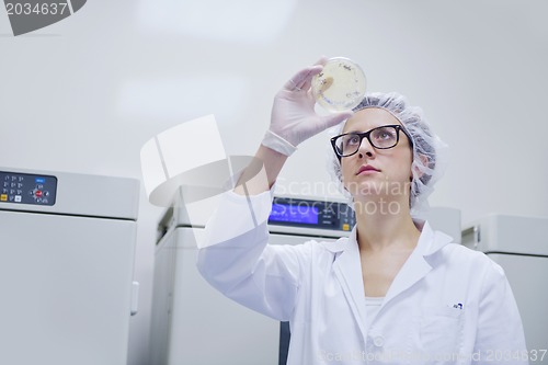 Image of scientists working at the laboratory