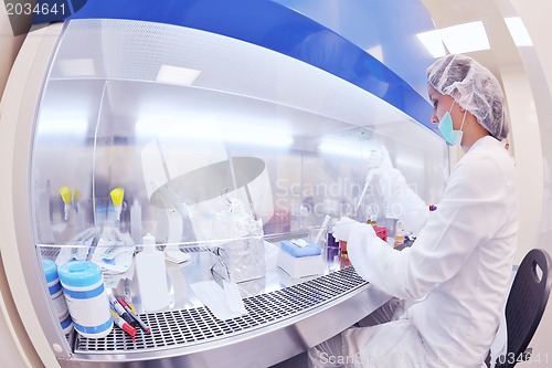 Image of scientists working at the laboratory