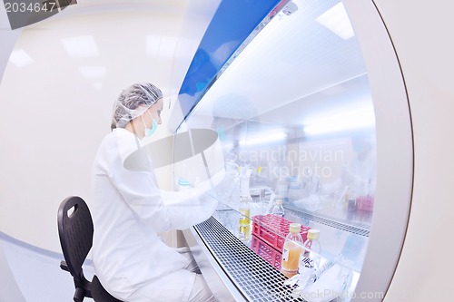 Image of scientists working at the laboratory