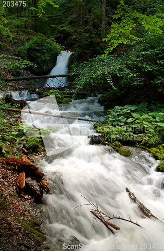 Image of Forest scenery with small waterfall