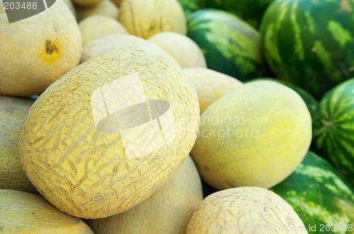 Image of Pile of melons