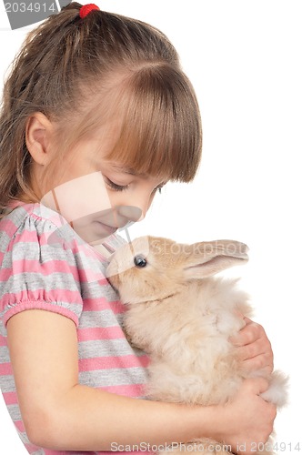 Image of Little girl with rabbit