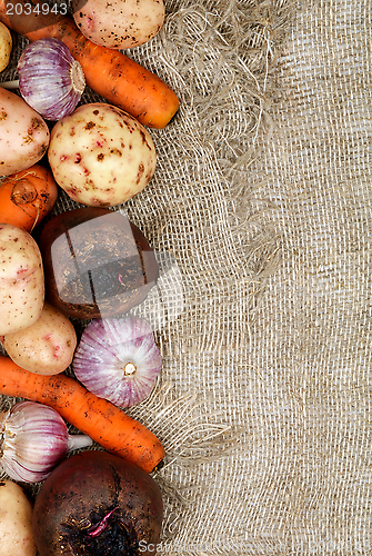 Image of Frame of Vegetables