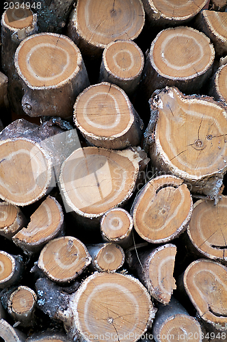 Image of Round Logs Background