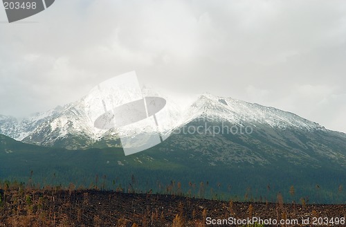 Image of Devastated Landscape