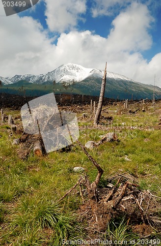 Image of Devastated Landscape