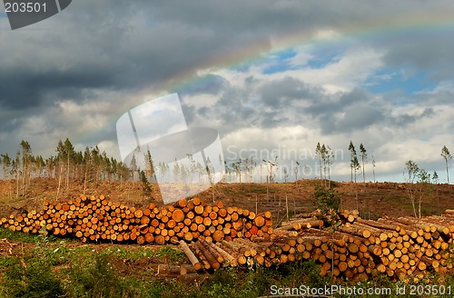 Image of Exploiting Mother Earth