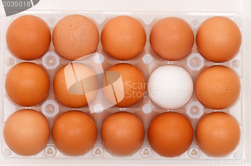 Image of Eggs in box