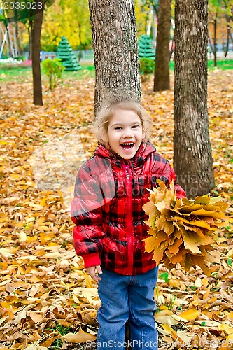 Image of Little girl in a red jacket with leaves