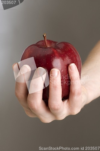 Image of apple