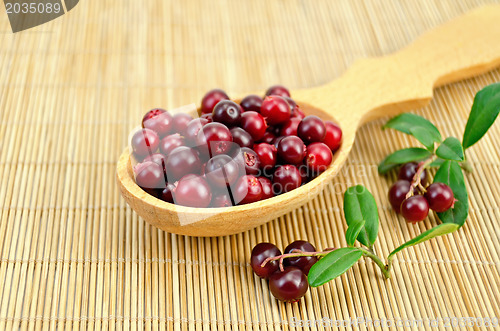 Image of Lingonberry in a wooden spoon on a bamboo mat