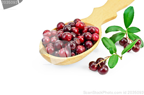 Image of Lingonberry in a wooden spoon
