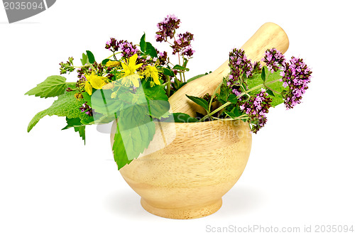 Image of Herbs in a mortar