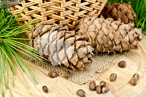 Image of Cedar cones with a basket