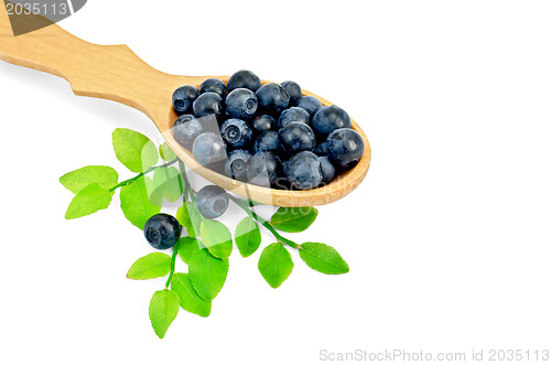 Image of Blueberries in a spoon with a leaf