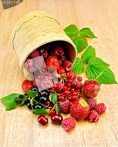 Image of Berries in a birch tueski