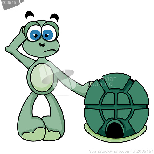 Image of Cute Turtle