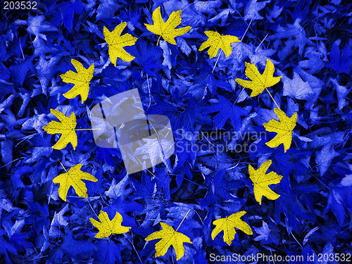 Image of EU flag