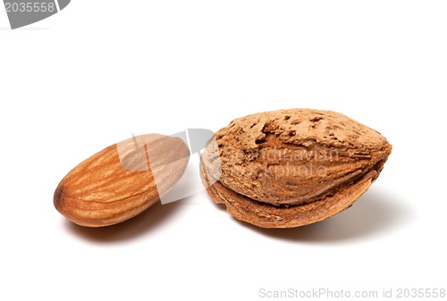 Image of Two almonds on white background