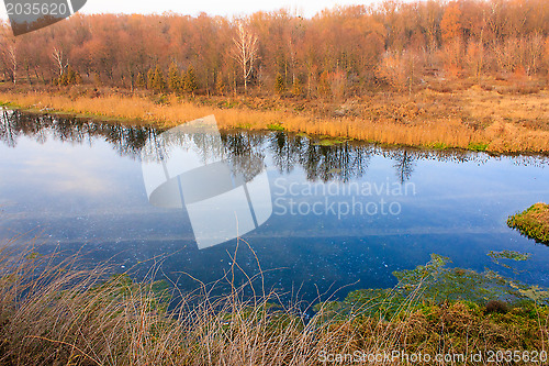 Image of Autumn trees reflected in the river