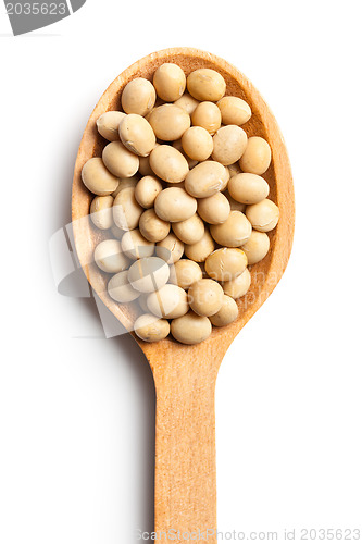 Image of soy beans in wooden spoon