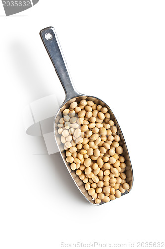Image of soy beans in scoop