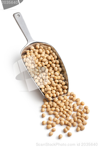 Image of soy beans in scoop